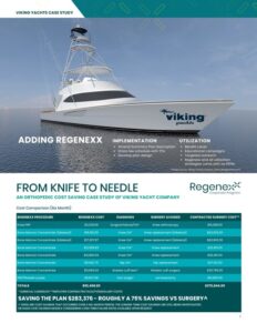 Viking 2024